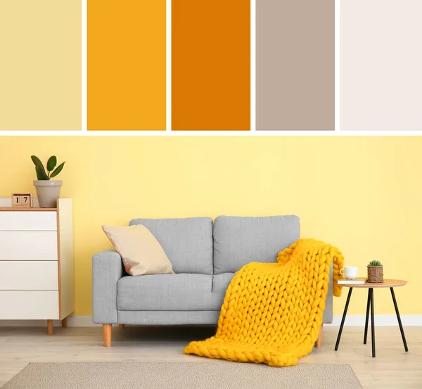 ソファ付きのモダンなスタイリッシュなリビングルームのインテリア 異なる色パターン — ストック写真