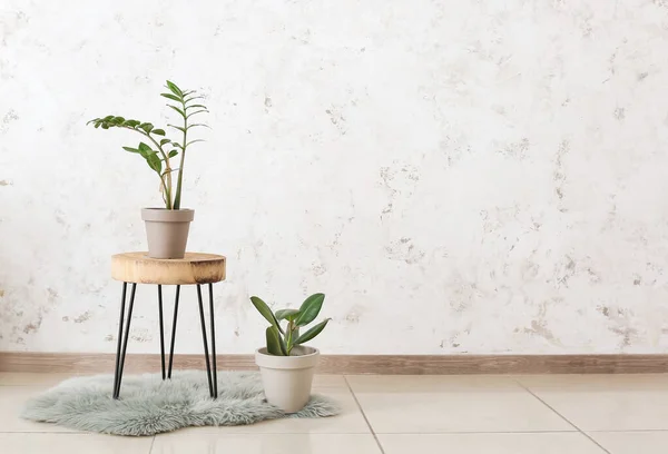 Mesa Moderna Con Plantas Interior Cerca Pared Luz Habitación —  Fotos de Stock