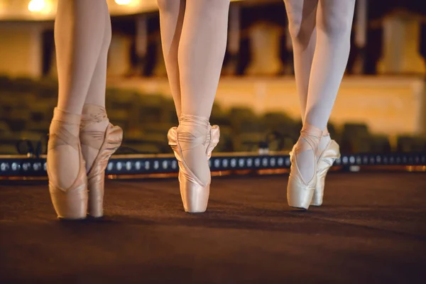 Beautiful Young Ballerinas Dancing Theatre Closeup — Stock Photo, Image