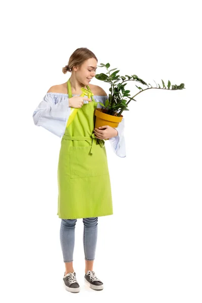 Beyaz Arka Planda Genç Bir Kadın Bahçıvan — Stok fotoğraf