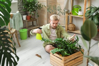Evdeki bitkilerle ilgilenen genç adam.