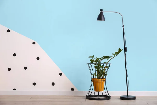 Lampa Houseplant Pobliżu Ściany Kolor Pokoju — Zdjęcie stockowe