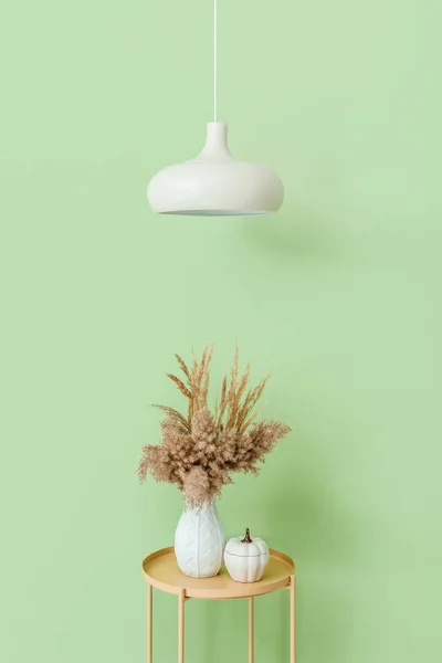 Vase Mit Pampasgras Und Lampe Auf Farbigem Hintergrund — Stockfoto