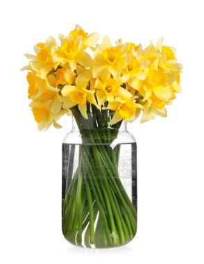 Beyaz arka planda güzel nergisli vazo