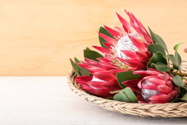 Işık arkaplanda güzel protea çiçekleri olan sepet.