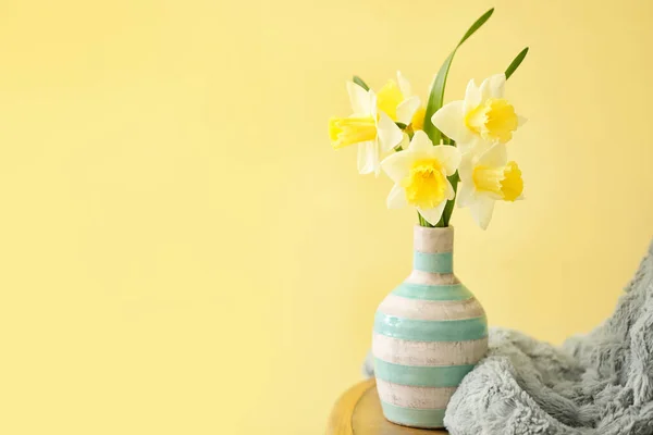 Vaso Con Bellissimi Narcisi Sulla Sedia Sullo Sfondo Colore — Foto Stock