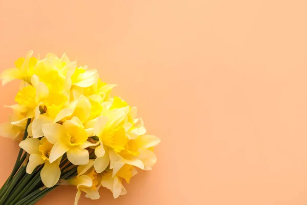 Beautiful Daffodils Color Background — Stock Photo, Image