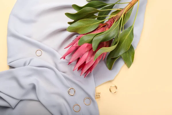 Hermosa Flor Protea Con Accesorios Sobre Fondo Color — Foto de Stock