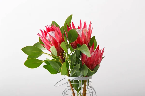 Vase Beautiful Protea Flowers Light Background — Stock Photo, Image