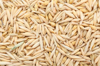 Arkaplan olarak kuru yulaf yığını