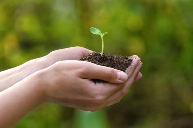Genç bitkileri ve toprağı açık havada tutan çiftçi.