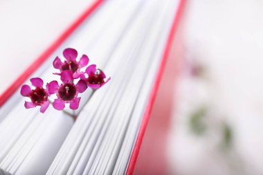 Taze çiçekli kitap, yakın plan.