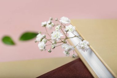 Taze çiçekli kitaplar, yakın plan.