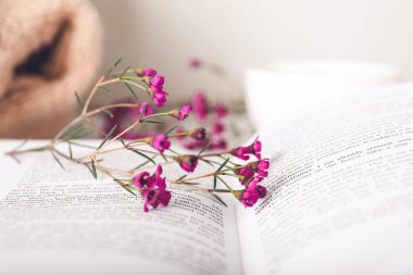 Taze çiçekli kitap, yakın plan.