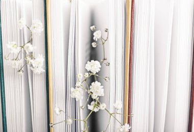 Taze çiçekli kitaplar, yakın plan.