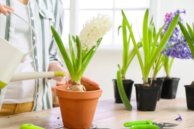 Evde bitkilerle ilgilenen kadın bahçıvan.