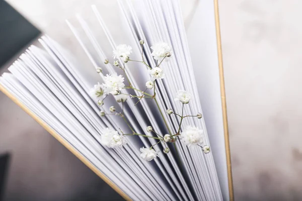 Book Fresh Flowers Closeup — Stock Photo, Image