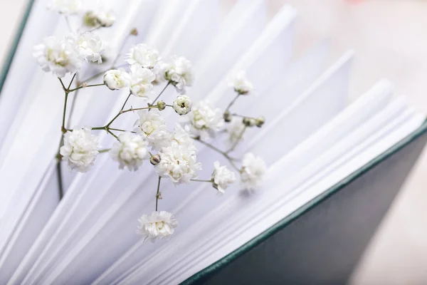 Livro Com Flores Frescas Close — Fotografia de Stock