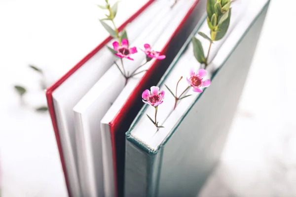 Libros Con Decoración Floral Sobre Fondo Blanco Primer Plano — Foto de Stock
