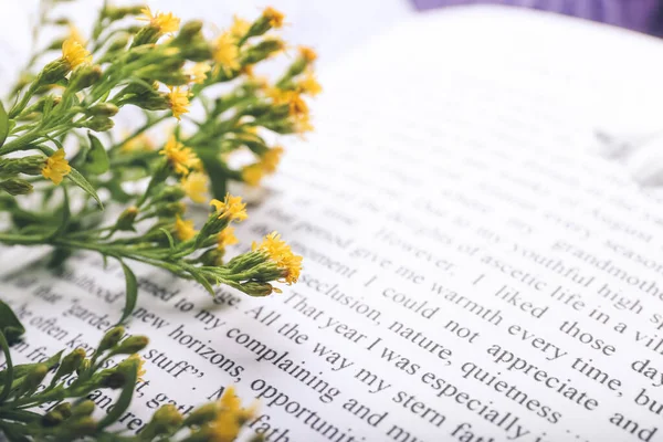Book Fresh Flowers Closeup — Stock Photo, Image