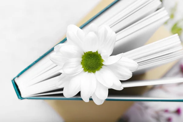 Book Fresh Flower Closeup — Stock Photo, Image