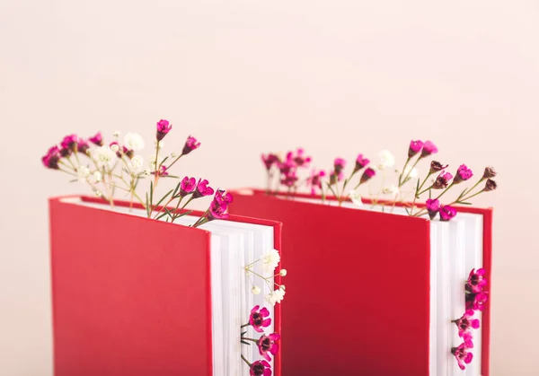 Böcker Med Färska Blommor Färg Bakgrund — Stockfoto