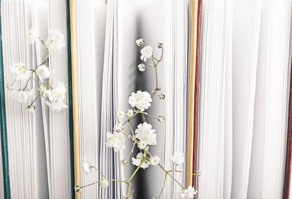 Könyvek Friss Virágokkal Közelkép — Stock Fotó