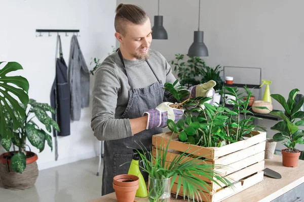 Joven Cuidando Plantas Casa — Foto de Stock