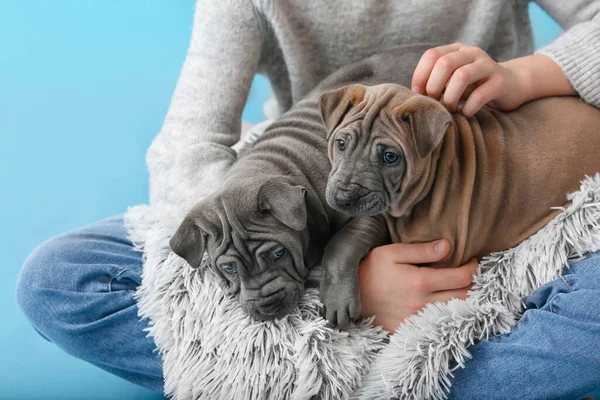 Cute Girl Szczeniakami Tle Koloru — Zdjęcie stockowe