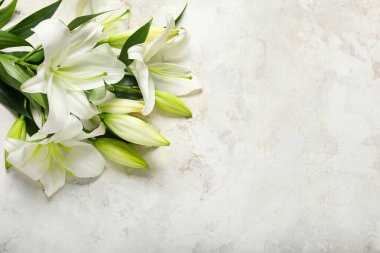 Açık arkaplanda güzel zambak çiçekleri