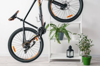 Modern bisiklet ve ev bitkileri ışık odasının içinde.