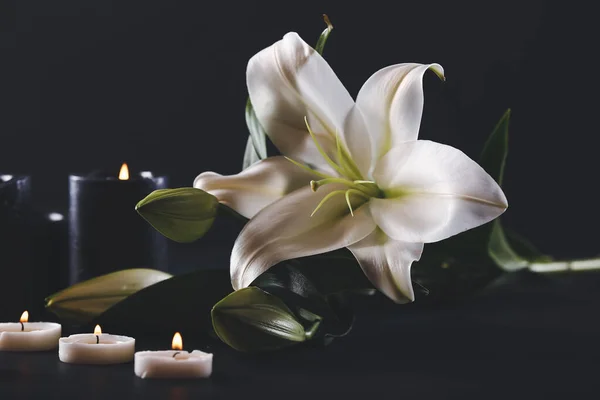 Hermosas Flores Lirio Velas Encendidas Sobre Fondo Negro — Foto de Stock