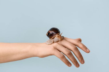 Işık arka planında salyangoz olan el