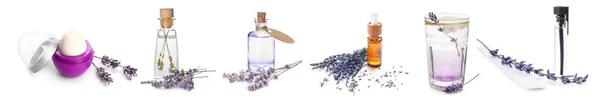 Lavanda Com Diferentes Produtos Sobre Fundo Branco — Fotografia de Stock