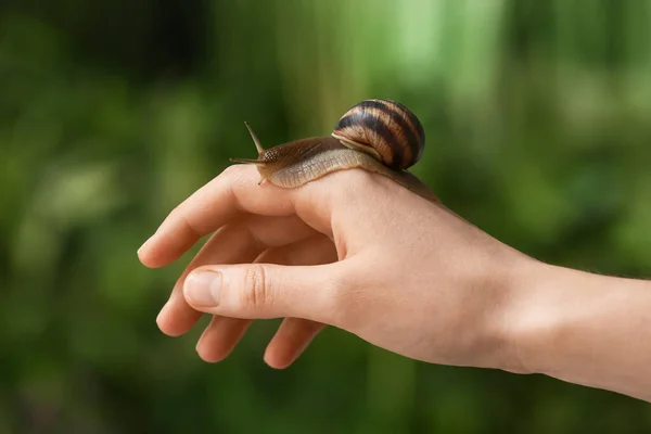 Hand Mit Schnecke Auf Verschwommenem Hintergrund — Stockfoto