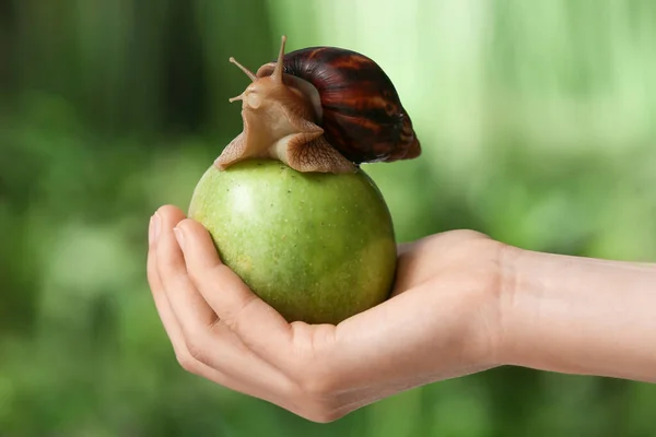 Hand Mit Apfel Und Schnecke Auf Verschwommenem Hintergrund — Stockfoto