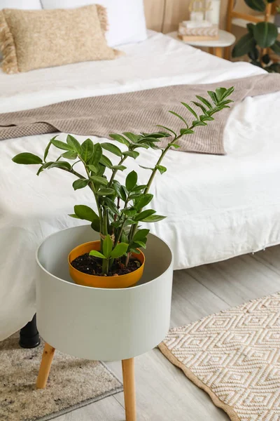 Mesa Con Planta Interior Interior Del Dormitorio — Foto de Stock