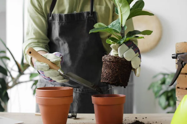 Young Man Taking Care Plants Home — Stock Photo, Image