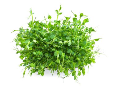 Beyaz arkaplanda taze bezelye yeşili