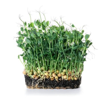 Beyaz arkaplanda taze bezelye yeşili