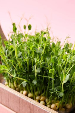 Arka planda sepette taze bezelye yeşili