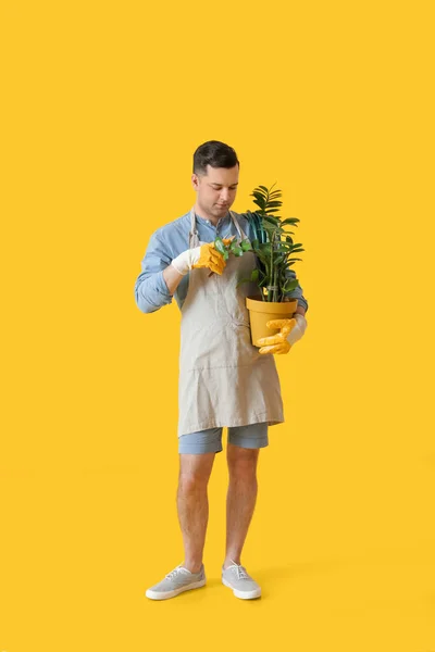 Young Male Gardener Color Background — Stock Photo, Image