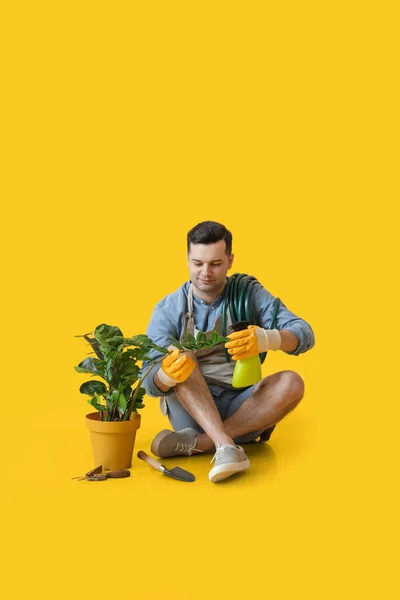 Joven Jardinero Masculino Sobre Fondo Color — Foto de Stock