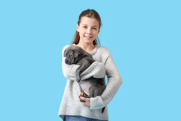 Cute Girl Puppy Color Background — Stock Photo, Image