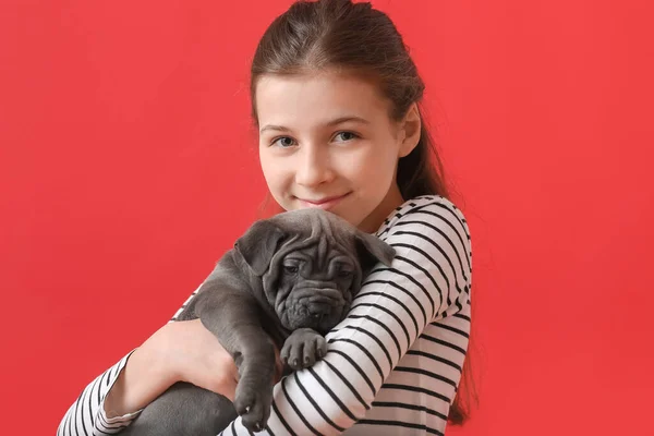 Menina Bonito Com Cachorro Fundo Cor — Fotografia de Stock