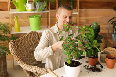 Evdeki bitkilerle ilgilenen genç adam.