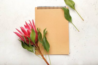 Işık arka planında defter olan güzel protea çiçeği