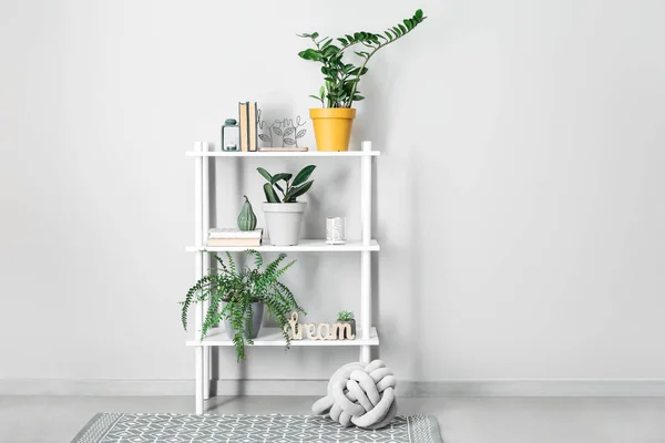Moderne Plank Met Boeken Kamerplanten Buurt Van Witte Muur Kamer — Stockfoto