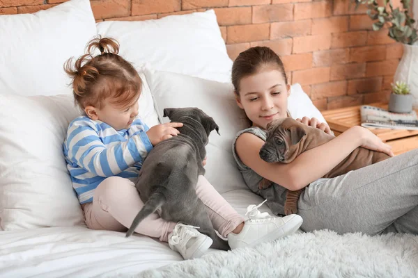 Cute Girls Puppies Home — Stock Photo, Image