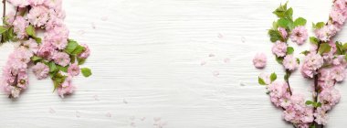 Beautiful blossoming branches on white wooden background with space for text